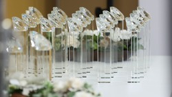Ставропольский стенд на выставке «Россия» получил престижные награды