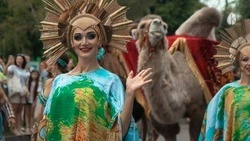 Для детей участников СВО проведут благотворительные цирковые представления в Кисловодске