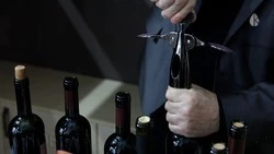 Алкоголь ослабляет защитные силы организма — минздрав Ставрополья