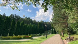 Акция «Сад памяти» поможет высадить более 100 тысяч деревьев на Ставрополье