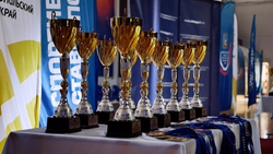 Шахматы и нарды включат в «Кубок защитников Отечества» на Ставрополье