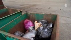 Губернатор поручил ввести штрафные санкции за невывоз мусора на Ставрополье