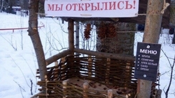 Зимующих птиц спасают ученики кисловодских школ 