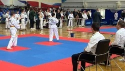 Региональный чемпионат по тхэквондо стартовал в Кисловодске