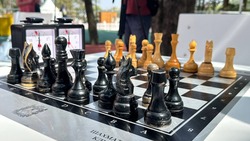 На берегу городского озера в Кисловодске открыли шахматный сквер 