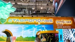 Посетительницам стенда Ставрополья на выставке «Россия» подарят цветы 