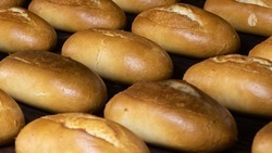 Хлебобулочный завод в Кисловодске наращивает темпы производства
