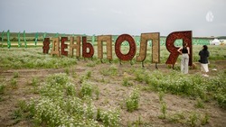Изменилось место отбытия трансфера из Кисловодска на агро-выставку в Минводах