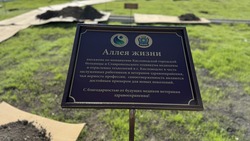 Рябиновую «Аллею жизни» в честь династий медиков высадили в Кисловодске