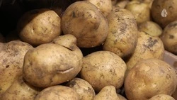Продуктовая ярмарка пройдёт в Кисловодске 25 января 