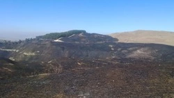 Глава Кисловодска прокомментировал последствия пожара на горе Малое Седло
