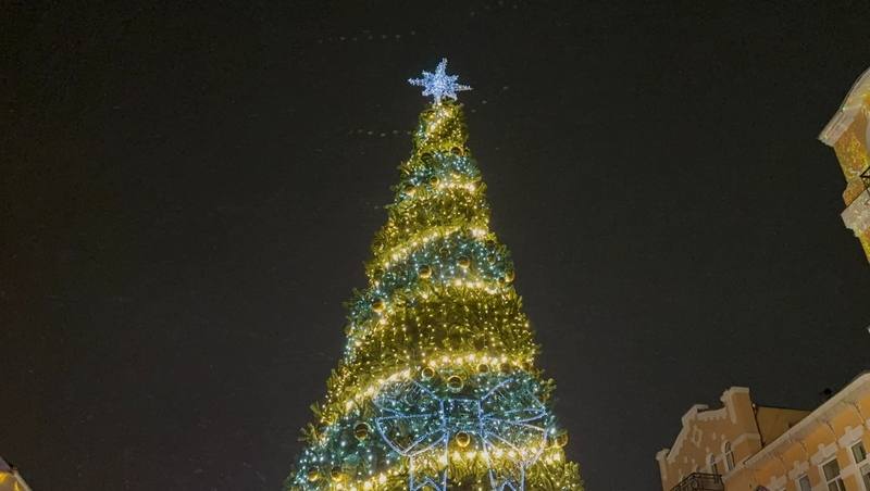 Главную городскую ёлку торжественно зажгли в Кисловодске