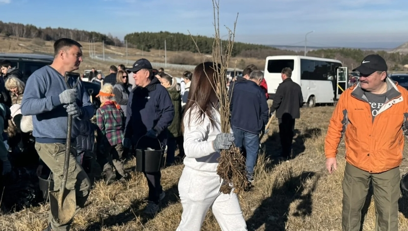 Свыше 4 тыс. саженцев высадили в Кисловодске на экоакции 