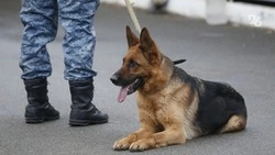 Сообщение о минировании больницы получили в Кисловодске