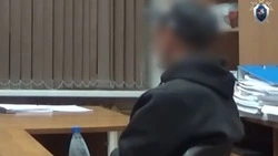 Кисловодчанина обвиняют в убийстве сестры из-за спора о земле
