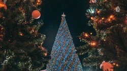 Новогодние праздники в Ставропольском крае прошли без серьёзных происшествий