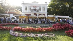 Картинная галерея протяжённостью более 80 м появится в Кисловодске 