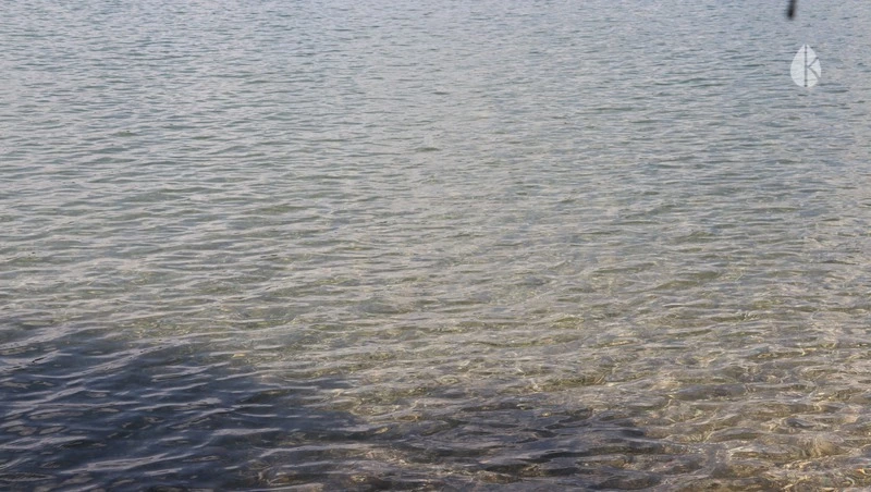 Кисловодское Старое озеро готовят к новому купальному сезону