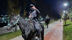 Всадники в масках били плетьми пенсионеров у Старого озера в Кисловодске