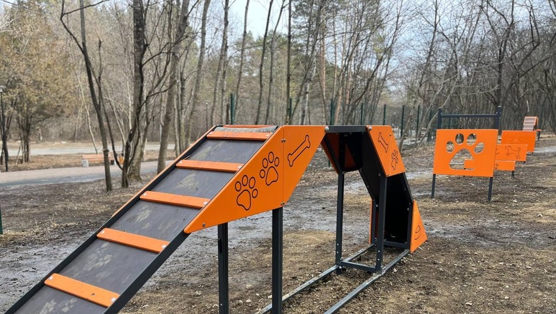 Первую в городе площадку для выгула собак обустроили в Кисловодске 