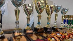 Первенство Ставрополья по кикбоксингу проводят в Кисловодске