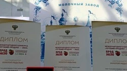 Кисловодский сыр признали лучшим продуктом года