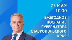 Владимир Владимиров представит ежегодное Послание 22 мая