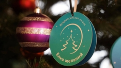 Губернатор пригласил ставропольцев поучаствовать в «Ёлке желаний»