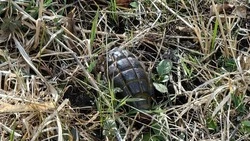 Возле Олимпийского комплекса в Кисловодске обнаружена граната