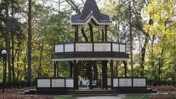 Кисловодск стал одним из популярных направлений ранних бронирований на Новый год