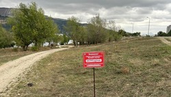 Информационные таблички о правилах утилизации отходов установили в Кисловодске 