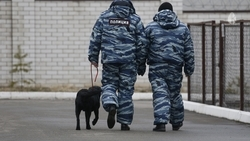 Школу №22 в Кисловодске проверят после угроз о теракте