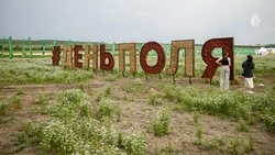 Изменилось место отбытия трансфера из Кисловодска на агро-выставку в Минводах