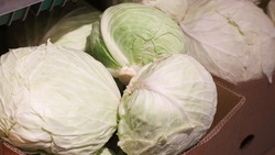 Объём проданной на ярмарках продукции аграриев Ставрополья превысил 420 тонн