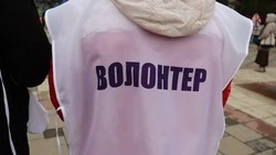 Волонтёры Кисловодска 7 лет помогают людям из приюта