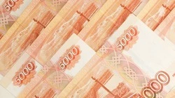 Депутаты предложили направить треть расходов бюджета края 2023 года на социальные нужды 