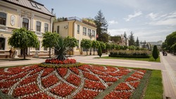 Администрация Кисловодска высадит более 250 тыс. цветов на городских клумбах