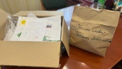 Кисловодские школы и детсады запустили акцию «Подарки заЩИТникам»
