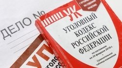 Кисловодчанин получил срок за похищение человека и вымогательство