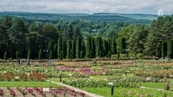 Кисловодск попал в тройку любимых курортов россиян