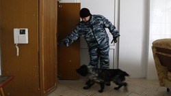 Взрывные устройства ищут в школах Кисловодска