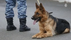 Угроза минирования судов поступила в Кисловодске