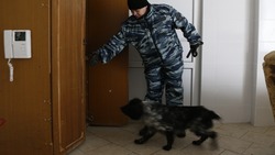 Администрация Кисловодска опровергла информацию о минировании торгового центра