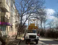 Трухлявое дерево на улице Кутузова спилили в Кисловодске