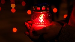 Ко Дню защитника Отечества в Кисловодске установят 15 «Парт Героев»
