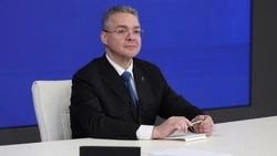 Губернатор Ставрополья обсудил с главой российской компании вопросы газификации