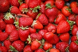 80 тонн клубники собрали в теплицах Нежинского на Ставрополье