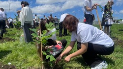 Выпускники в Кисловодске заложили памятную аллею к 80-летию Победы