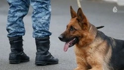 Все школы Кисловодска эвакуировали из-за угрозы минирования