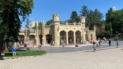 Выставка ботанического искусства открылась в Кисловодске